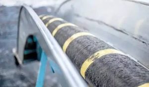 Subsea cable